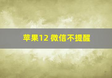 苹果12 微信不提醒